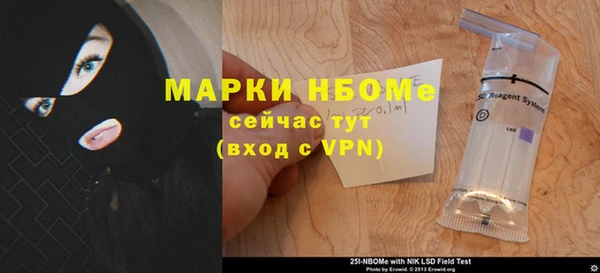 молекула духа Арсеньев