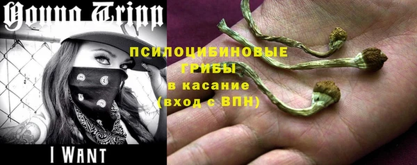 молекула духа Арсеньев