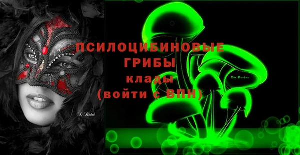 ПСИЛОЦИБИНОВЫЕ ГРИБЫ Аркадак