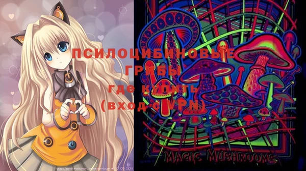 ПСИЛОЦИБИНОВЫЕ ГРИБЫ Аркадак