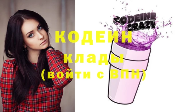 молекула духа Арсеньев